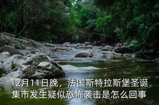 12月11日晚，法國斯特拉斯堡圣誕集市發(fā)生疑似恐怖襲擊是怎么回事