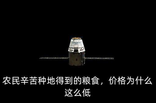 農(nóng)民辛苦種地得到的糧食，價格為什么這么低
