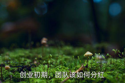 創(chuàng)業(yè)初期，團(tuán)隊該如何分紅
