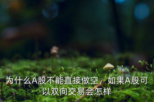 為什么A股不能直接做空，如果A股可以雙向交易會怎樣