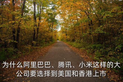 為什么阿里巴巴、騰訊、小米這樣的大公司要選擇到美國和香港上市