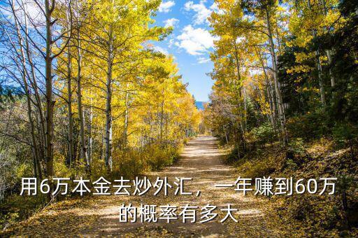 用6萬本金去炒外匯，一年賺到60萬的概率有多大