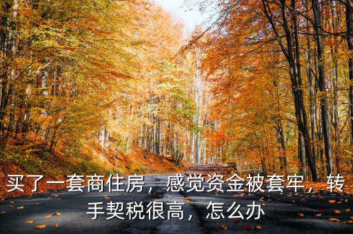 買了一套商住房，感覺資金被套牢，轉(zhuǎn)手契稅很高，怎么辦