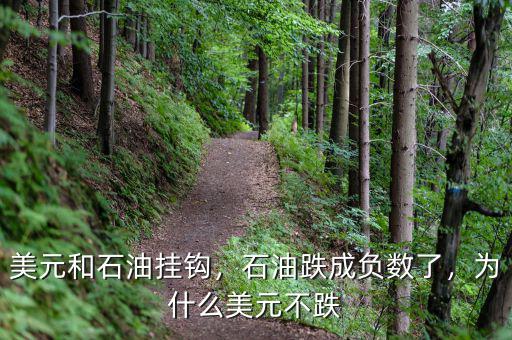 美元和石油掛鉤，石油跌成負(fù)數(shù)了，為什么美元不跌