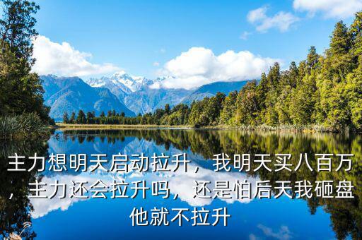 主力想明天啟動拉升，我明天買八百萬，主力還會拉升嗎，還是怕后天我砸盤他就不拉升