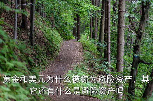 黃金和美元為什么被稱為避險資產(chǎn)，其它還有什么是避險資產(chǎn)嗎