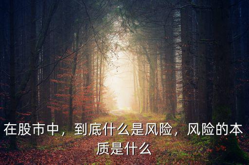 在股市中，到底什么是風(fēng)險(xiǎn)，風(fēng)險(xiǎn)的本質(zhì)是什么