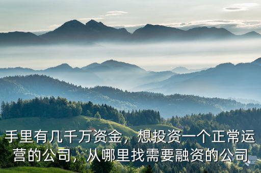 手里有幾千萬資金，想投資一個正常運(yùn)營的公司，從哪里找需要融資的公司