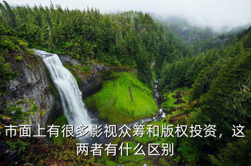 市面上有很多影視眾籌和版權(quán)投資，這兩者有什么區(qū)別