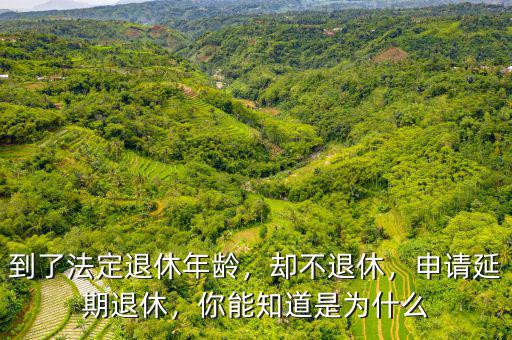 到了法定退休年齡，卻不退休，申請(qǐng)延期退休，你能知道是為什么