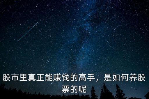 股市里真正能賺錢(qián)的高手，是如何養(yǎng)股票的呢
