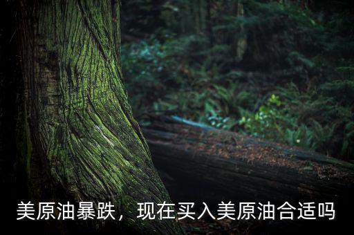 美原油暴跌，現(xiàn)在買入美原油合適嗎
