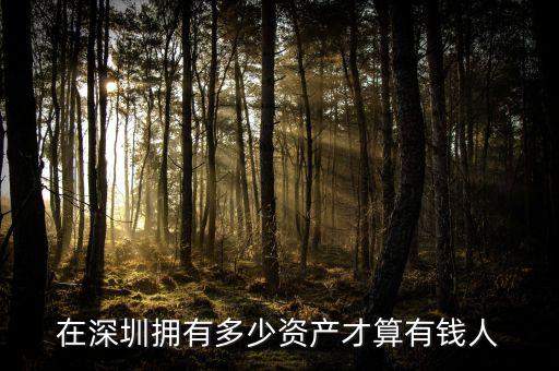 在深圳擁有多少資產(chǎn)才算有錢(qián)人