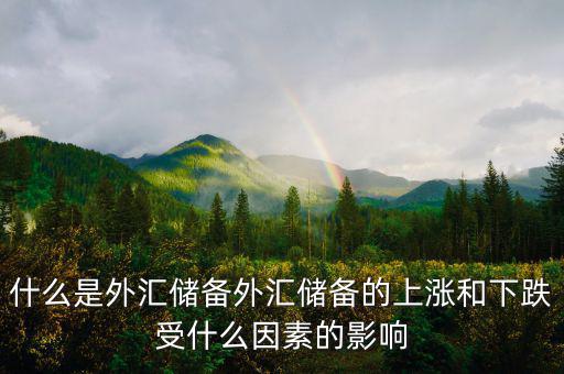 什么是外匯儲備外匯儲備的上漲和下跌受什么因素的影響