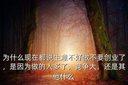 為什么現(xiàn)在都說生意不好做不要創(chuàng)業(yè)了，是因為做的人多了，競爭大，還是其他什么