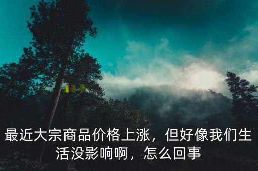 最近大宗商品價(jià)格上漲，但好像我們生活沒影響啊，怎么回事