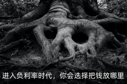 進(jìn)入負(fù)利率時(shí)代，你會(huì)選擇把錢放哪里