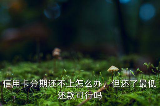信用卡分期還不上怎么辦，但還了最低還款可行嗎