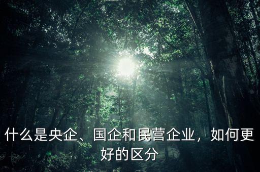 什么是央企、國(guó)企和民營(yíng)企業(yè)，如何更好的區(qū)分
