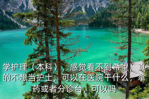 學護理（本科），感覺看不到希望，真的不想當護士，可以在醫(yī)院干什么，拿藥或者分診臺，可以嗎