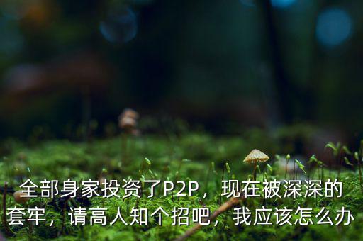 全部身家投資了P2P，現(xiàn)在被深深的套牢，請高人知個招吧，我應(yīng)該怎么辦