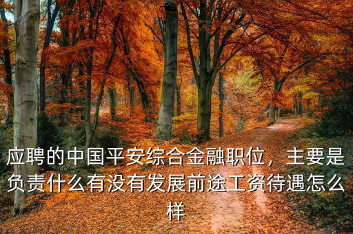 應(yīng)聘的中國(guó)平安綜合金融職位，主要是負(fù)責(zé)什么有沒(méi)有發(fā)展前途工資待遇怎么樣