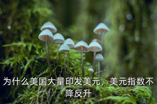 為什么美國大量印發(fā)美元，美元指數(shù)不降反升