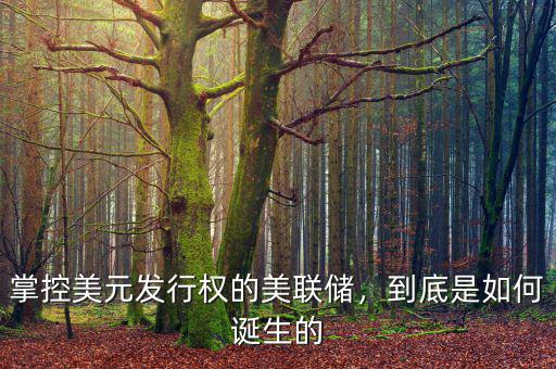 掌控美元發(fā)行權(quán)的美聯(lián)儲(chǔ)，到底是如何誕生的