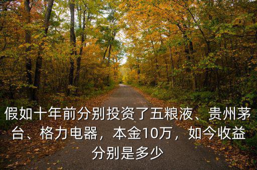 假如十年前分別投資了五糧液、貴州茅臺、格力電器，本金10萬，如今收益分別是多少