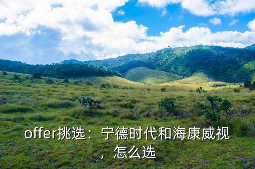 ?？低曔@家公司怎么樣,寧德時(shí)代和?？低?/></a></span><span id=