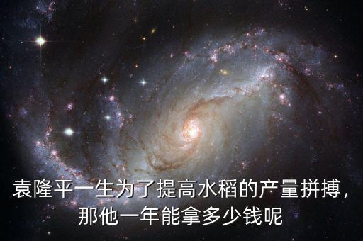 袁隆平一生為了提高水稻的產(chǎn)量拼搏，那他一年能拿多少錢呢