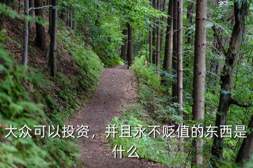大眾可以投資，并且永不貶值的東西是什么