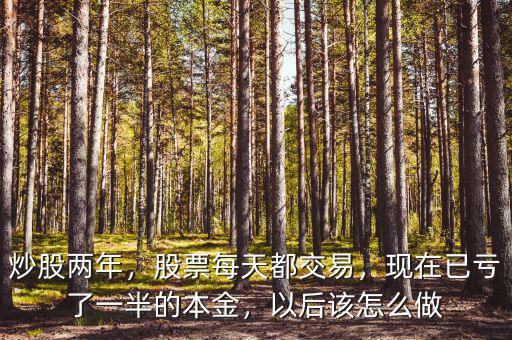 炒股兩年，股票每天都交易，現(xiàn)在已虧了一半的本金，以后該怎么做