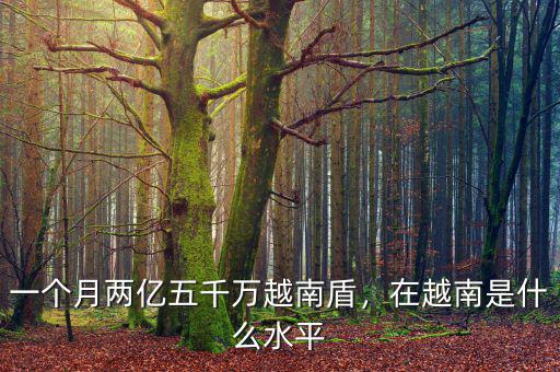 一個(gè)月兩億五千萬越南盾，在越南是什么水平