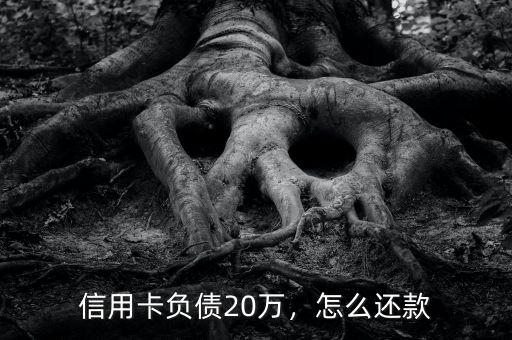信用卡負債20萬，怎么還款