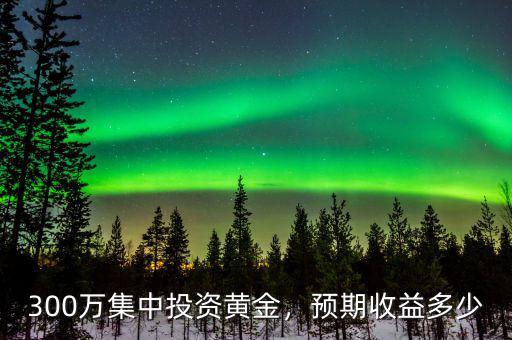 300萬集中投資黃金，預(yù)期收益多少