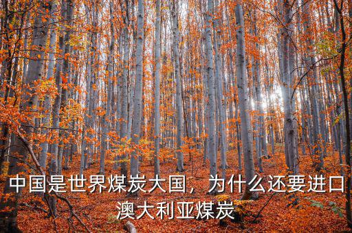中國是世界煤炭大國，為什么還要進(jìn)口澳大利亞煤炭