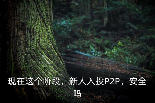 現(xiàn)在這個階段，新人入投P2P，安全嗎