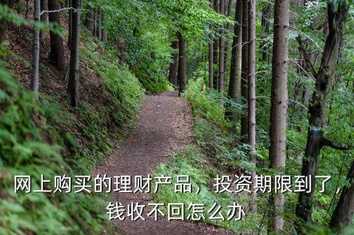 網(wǎng)上購(gòu)買(mǎi)的理財(cái)產(chǎn)品，投資期限到了，錢(qián)收不回怎么辦