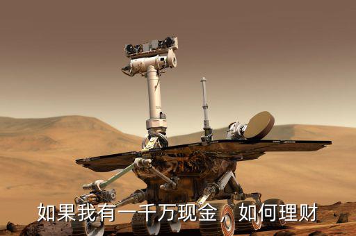 如果我有一千萬現(xiàn)金，如何理財