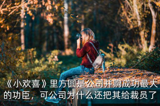 《小歡喜》里方圓是公司并購成功最大的功臣，可公司為什么還把其給裁員了