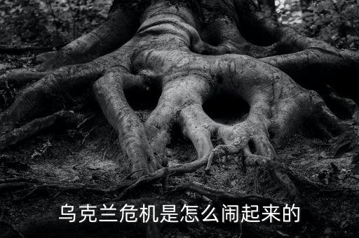 烏克蘭危機(jī)是怎么鬧起來的