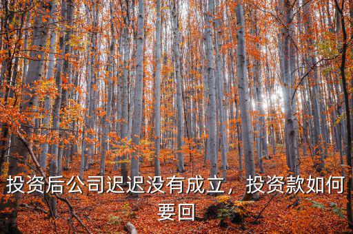 投資后公司遲遲沒(méi)有成立，投資款如何要回