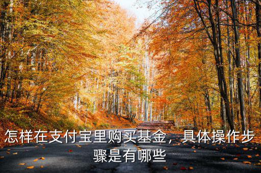 怎樣在支付寶里購(gòu)買(mǎi)基金，具體操作步驟是有哪些