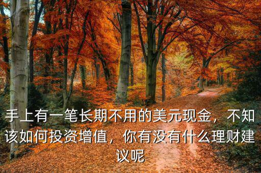 手上有一筆長(zhǎng)期不用的美元現(xiàn)金，不知該如何投資增值，你有沒有什么理財(cái)建議呢