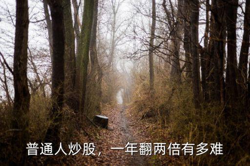 普通人炒股，一年翻兩倍有多難