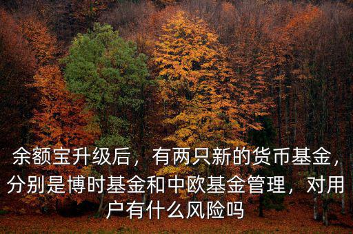 余額寶升級后，有兩只新的貨幣基金，分別是博時基金和中歐基金管理，對用戶有什么風(fēng)險嗎