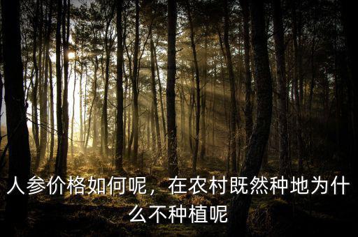 人參價(jià)格如何呢，在農(nóng)村既然種地為什么不種植呢