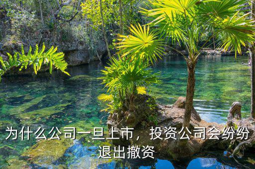 為什么公司一旦上市，投資公司會紛紛退出撤資