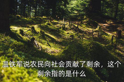 溫鐵軍說(shuō)農(nóng)民向社會(huì)貢獻(xiàn)了剩余，這個(gè)剩余指的是什么